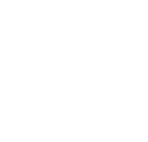 Alternative Investments